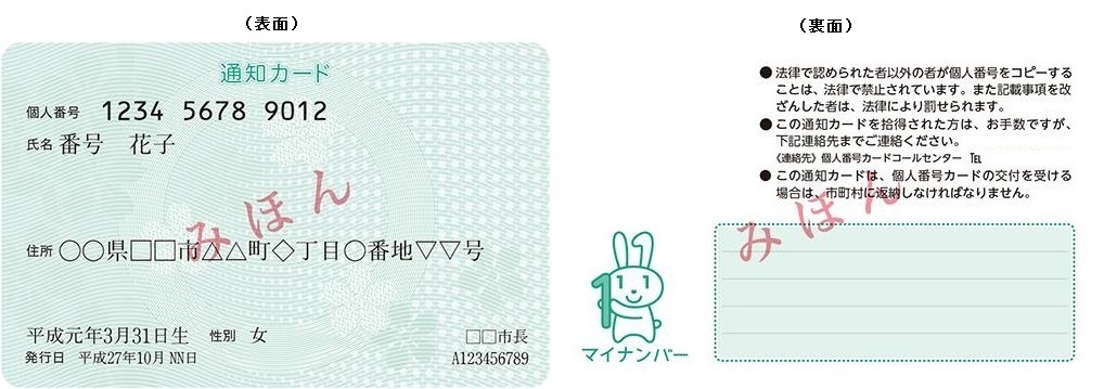 通知カード見本