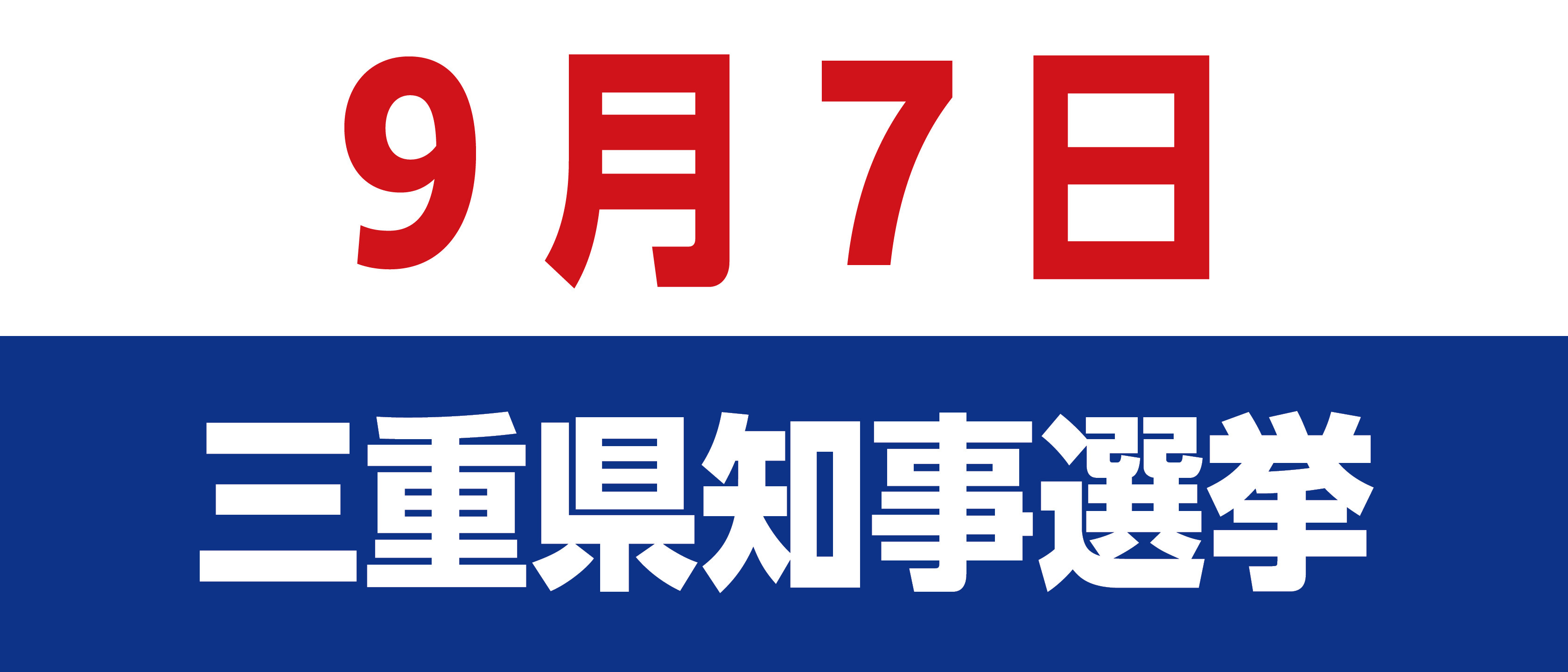 県知事選挙の画像