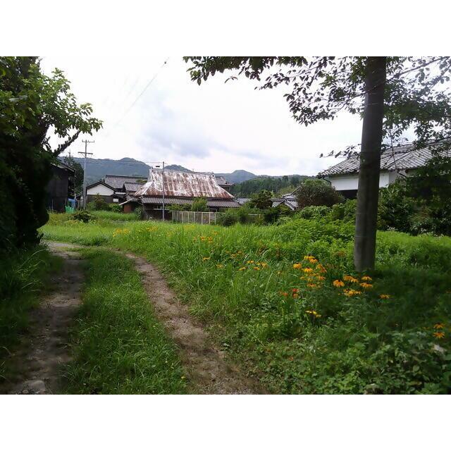 土地の画像