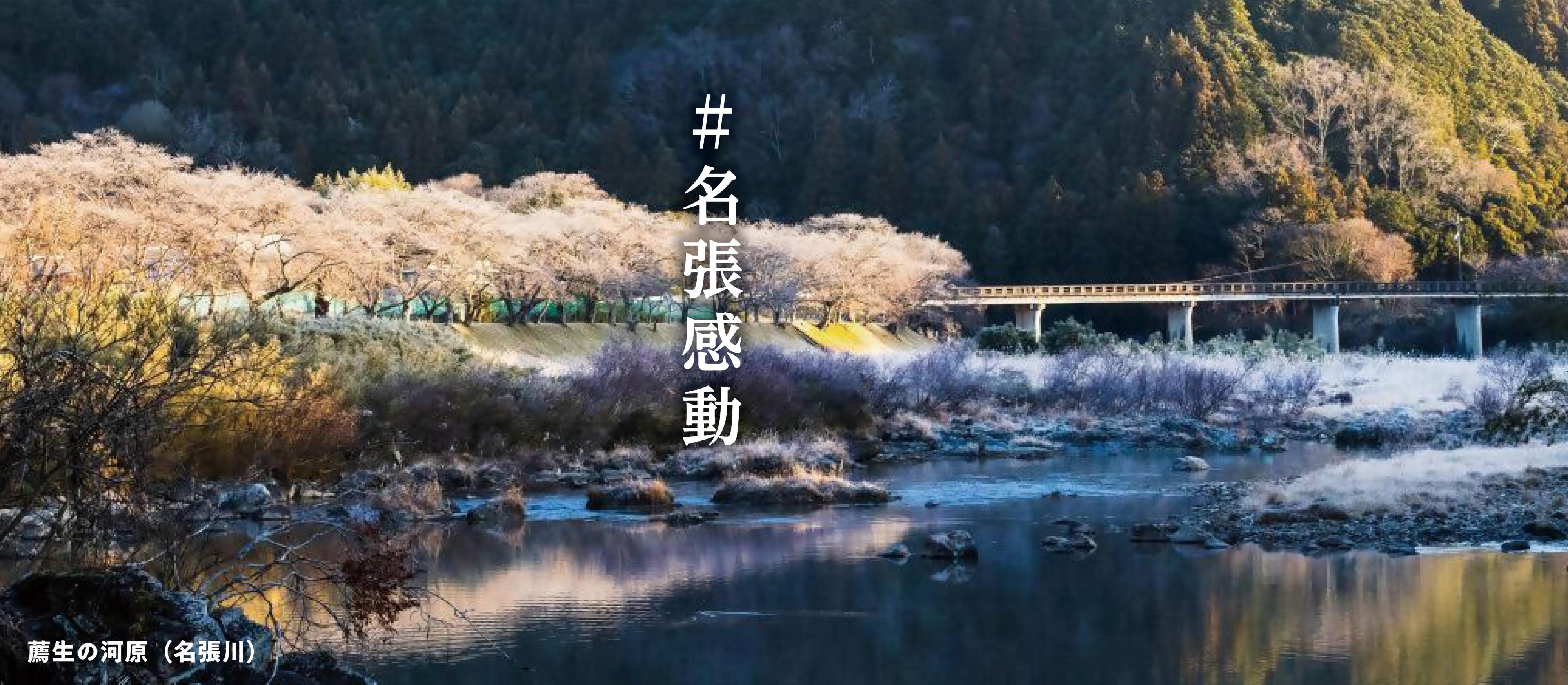 トップページバナー