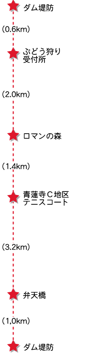 コース3概要