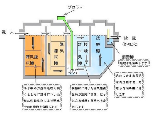 処理方式の画像