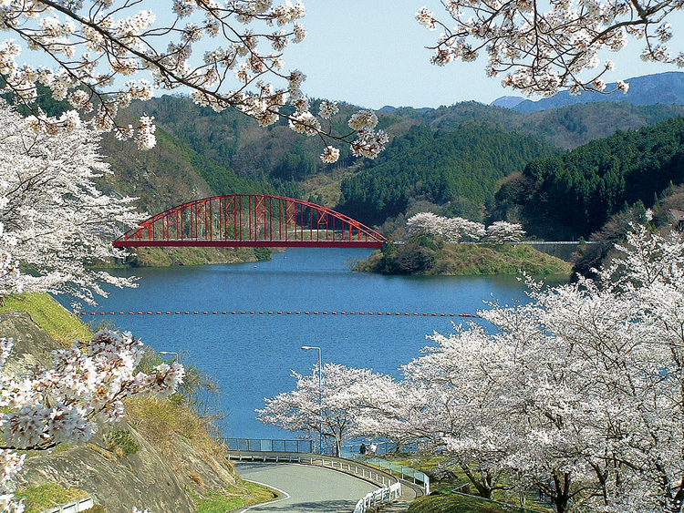 青蓮寺湖