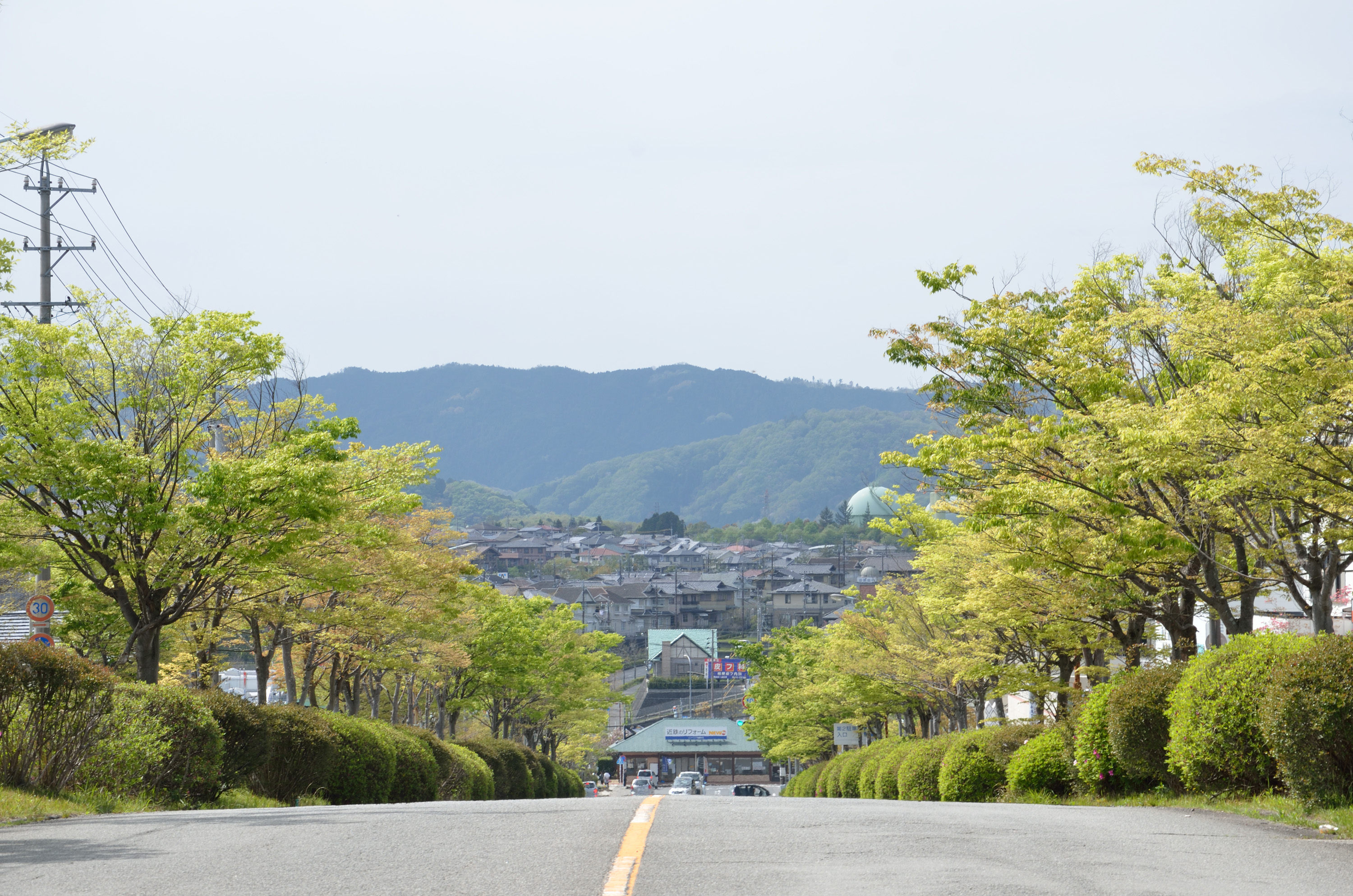 桔梗が丘道路