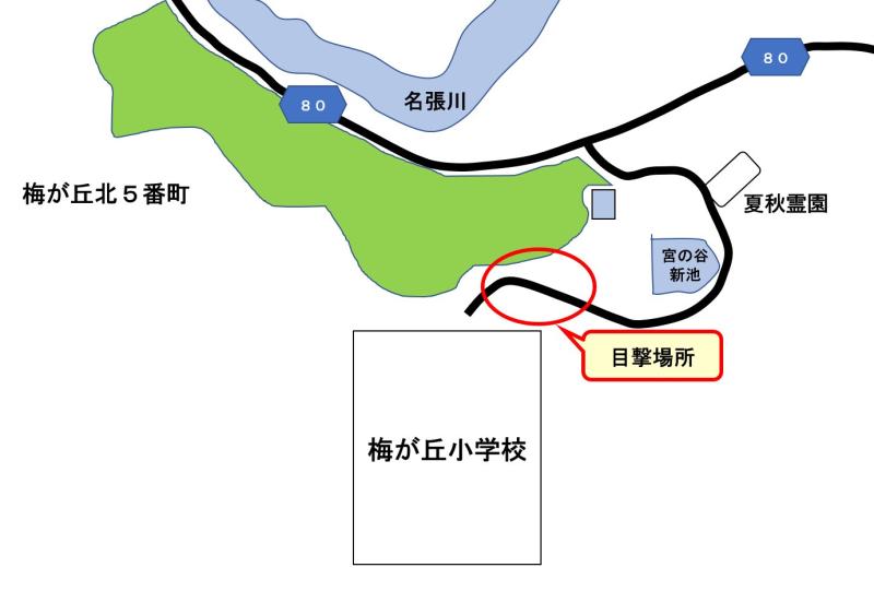 ume4