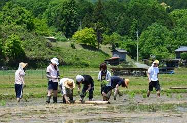 寄附金の使途3