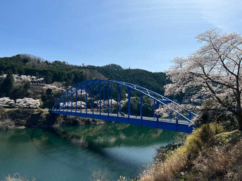 cyclingguide-bluebridge.jpg