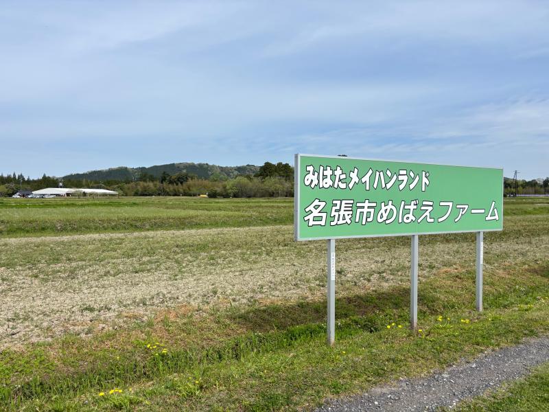 メイハンランド写真