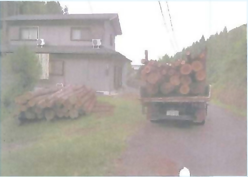 baiomasu_cropped (1)_page-0001 (1).jpg