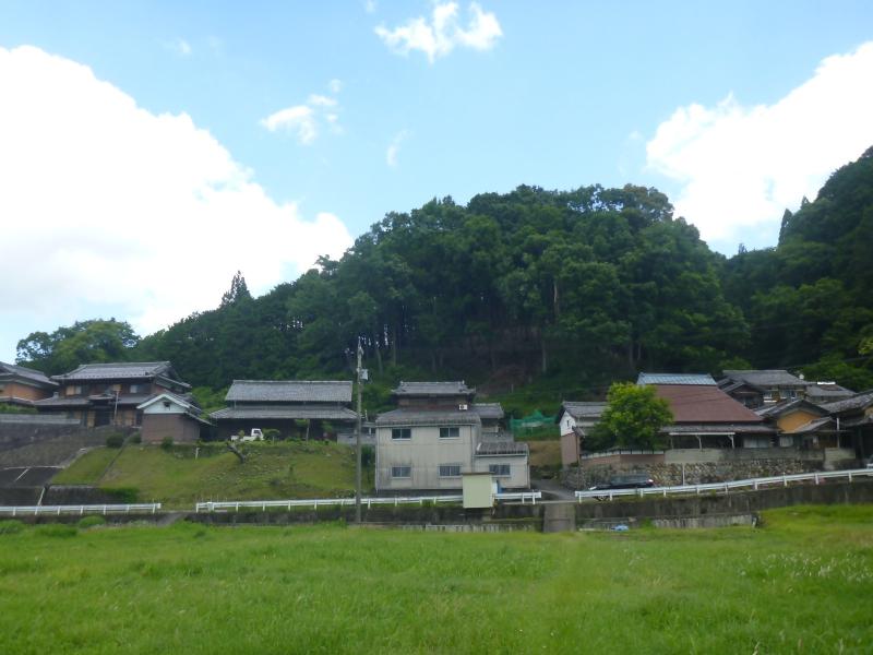 jinkaurabassaimae.JPG