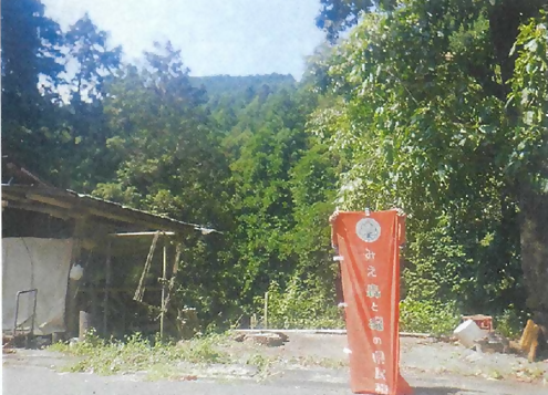 R8危険木2