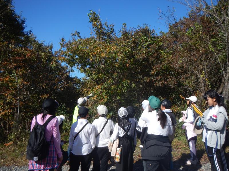 shinrinkyouikukatudouchuushashinn.JPG