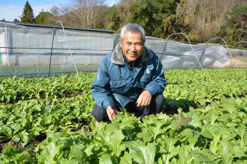 タネ菜生産者福廣さん.jpg