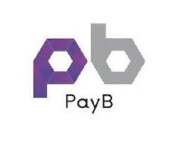 PayBﾛｺﾞ