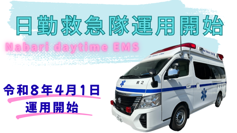 daytimeems.png